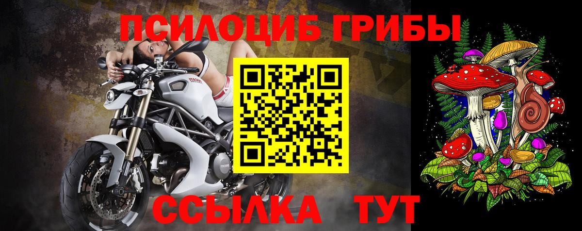 Белгород  Псилоцибиновые грибы Cubensis  Вход с VPN 