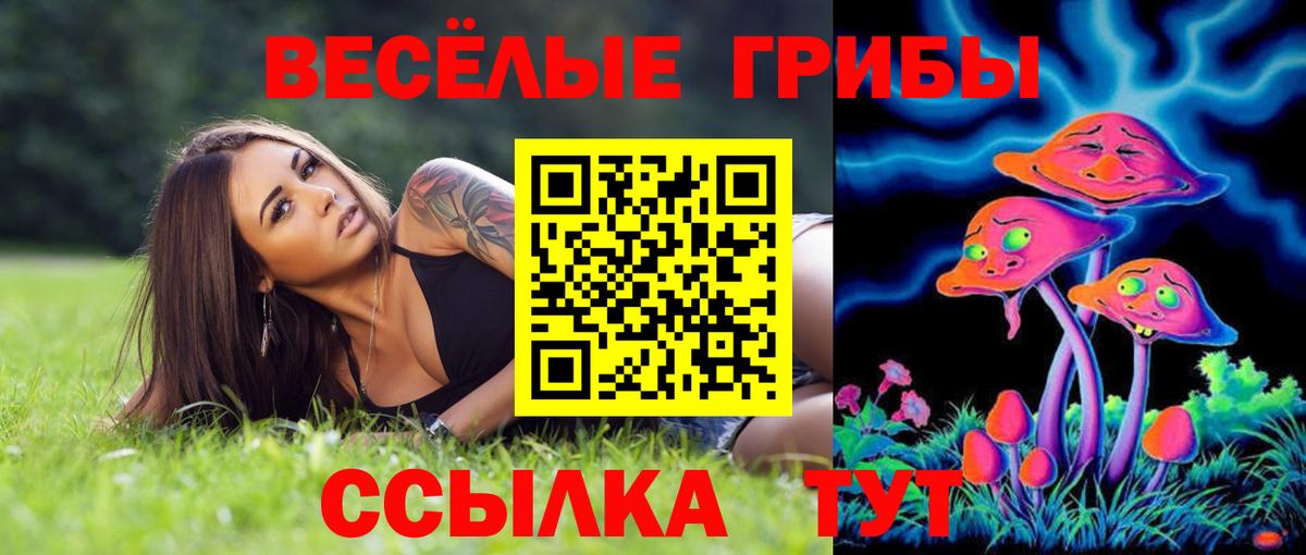 Галлюциногенные грибы мицелий Белгород
